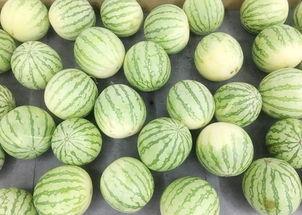 朝阳黑料 吃瓜网每日大赛 爆料